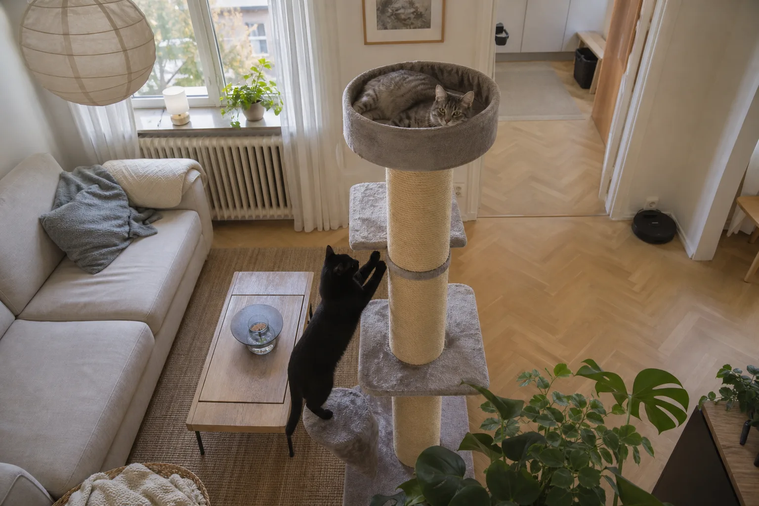 En grå och en svart katt delar på en bred klöspelare i ett ljust vardagsrum